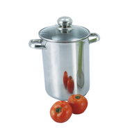 16cm Stainless Steel Asparagus Pot with Perforated Basket with Glass Lid